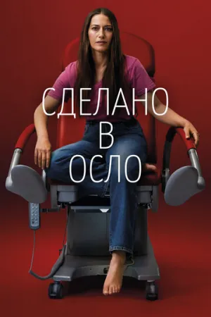 Сделано в Осло (сериал 2022)